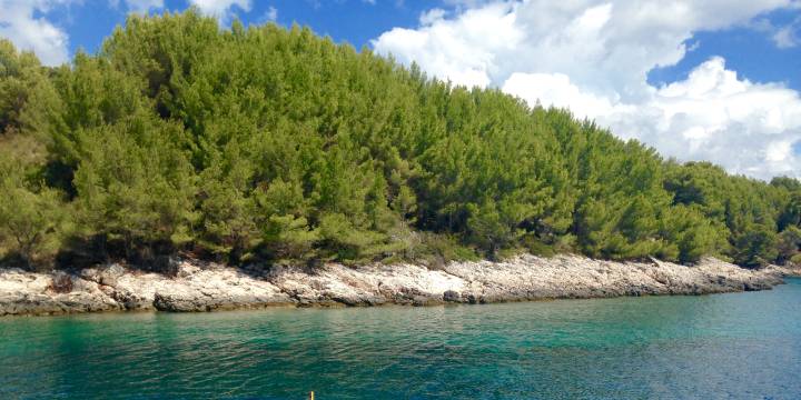 Snorkeling in Dubrovnik