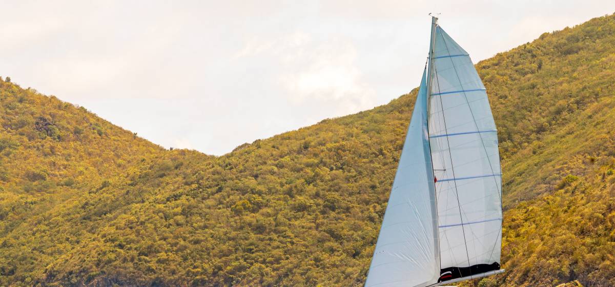 What’s New in the British Virgin Islands