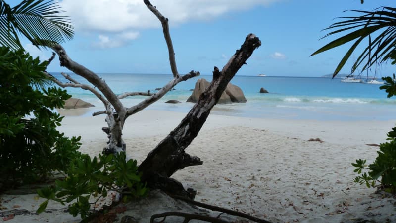 7 Must-See Islands in Seychelles with The Moorings