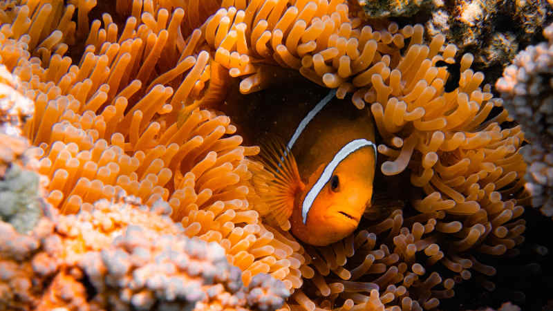 6 Stunning Beaches to Visit on a Tahiti Sailing Holiday 