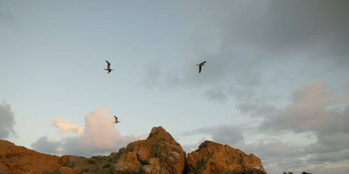 British Virgin Islands Sailing Itinerary