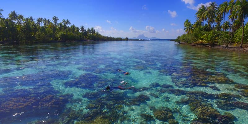 Tahaa Coral Garden in Tahiti