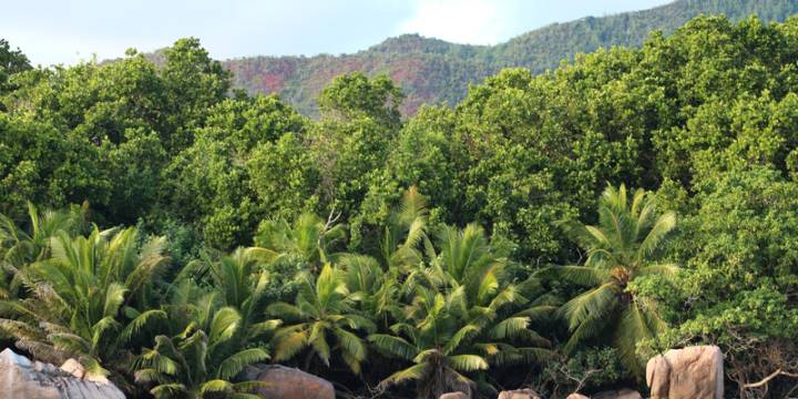 Seychelles Sailing Itinerary