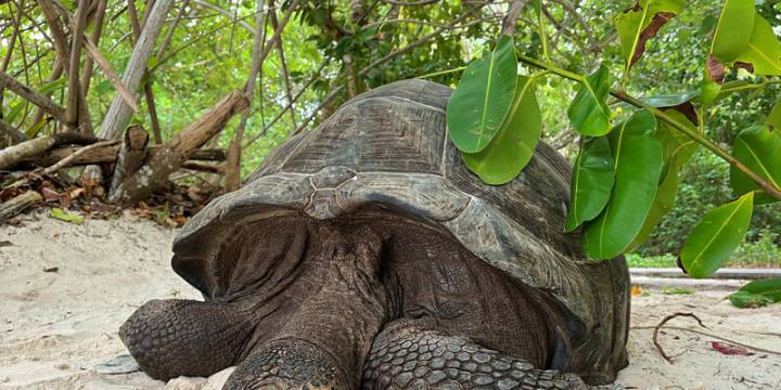 Seychelles Sailing Itinerary